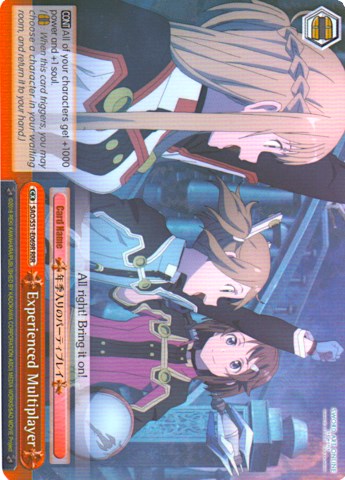 Experienced Multiplayer (SAO/S51-E069 RRR) [Sword Art Online The Movie: -Ordinal Scale-] | Cracking-Singles