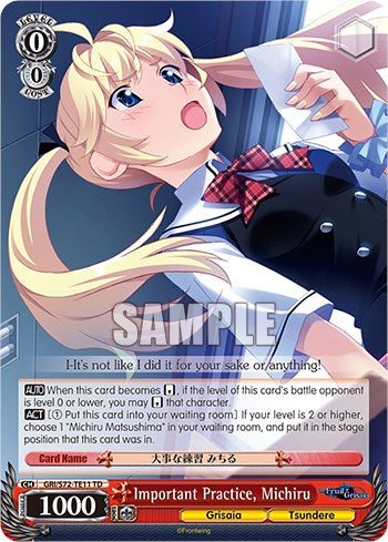 Important Practice, Michiru [The Fruit of Grisaia] | Cracking-Singles