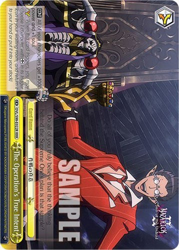 The Operation's True Intent [Nazarick: Tomb of the Undead Vol.2] | Cracking-Singles