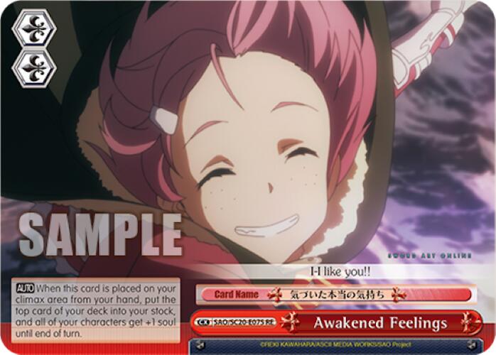 Awakened Feelings [Sword Art Online Chronicle Set] | Cracking-Singles