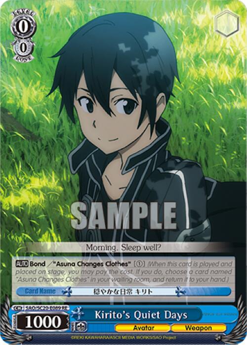 Kirito's Quiet Days [Sword Art Online Chronicle Set] | Cracking-Singles