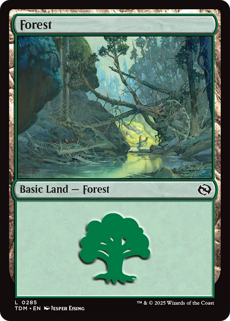 Forest (0285) [Tarkir: Dragonstorm] | Cracking-Singles