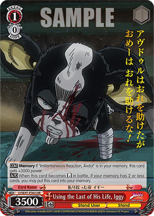 Using the Last of His Life, Iggy (JJ/SE41-E36J JJR) [JoJo's Bizarre Adventure: Golden Wind] | Cracking-Singles