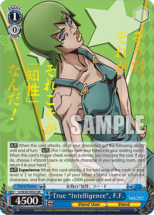 True "Intelligence", F.F. (JJ/SE42-E45J JJR) [JoJo's Bizarre Adventure: Golden Wind] | Cracking-Singles