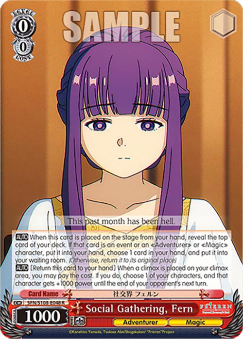Social Gathering, Fern [Frieren: Beyond Journey's End] | Cracking-Singles