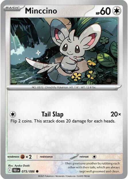 Minccino (075/086) [Scarlet & Violet: Black Bolt] | Cracking-Singles