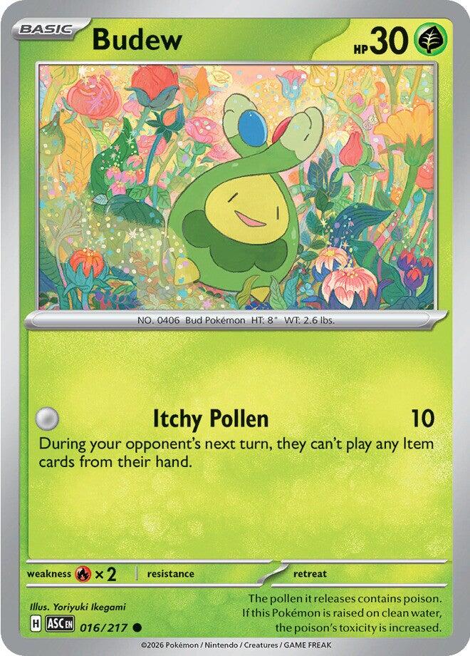 Budew (016/217) [Mega Evolution: Ascended Heroes] | Cracking-Singles
