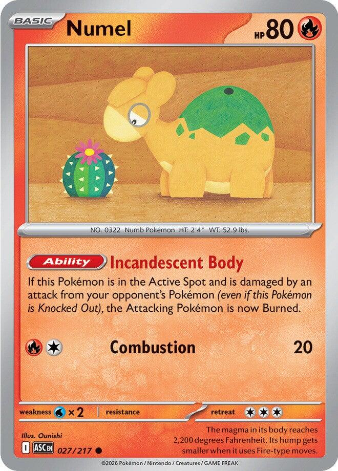 Numel (027/217) [Mega Evolution: Ascended Heroes] | Cracking-Singles