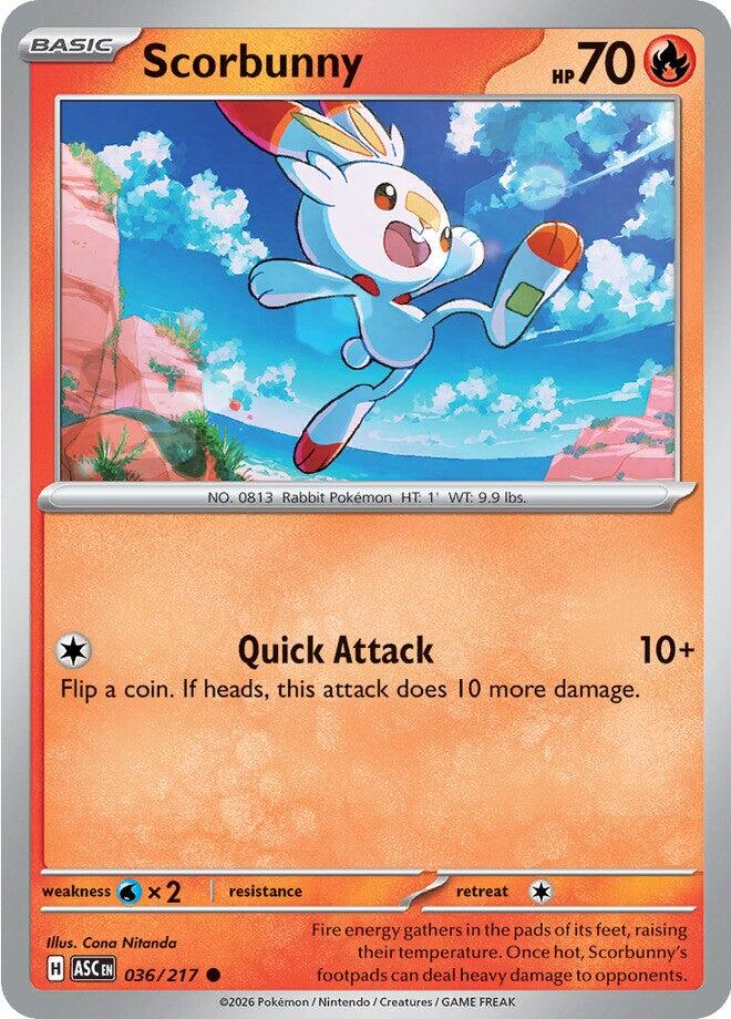 Scorbunny (036/217) [Mega Evolution: Ascended Heroes] | Cracking-Singles