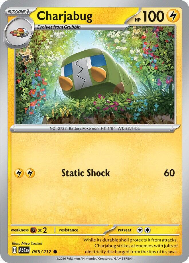Charjabug (065/217) [Mega Evolution: Ascended Heroes] | Cracking-Singles
