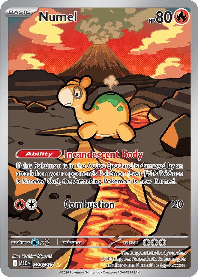 Numel (223/217) [Mega Evolution: Ascended Heroes] | Cracking-Singles