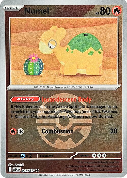 Numel (027/217) (Quick Ball) [Mega Evolution: Ascended Heroes] | Cracking-Singles