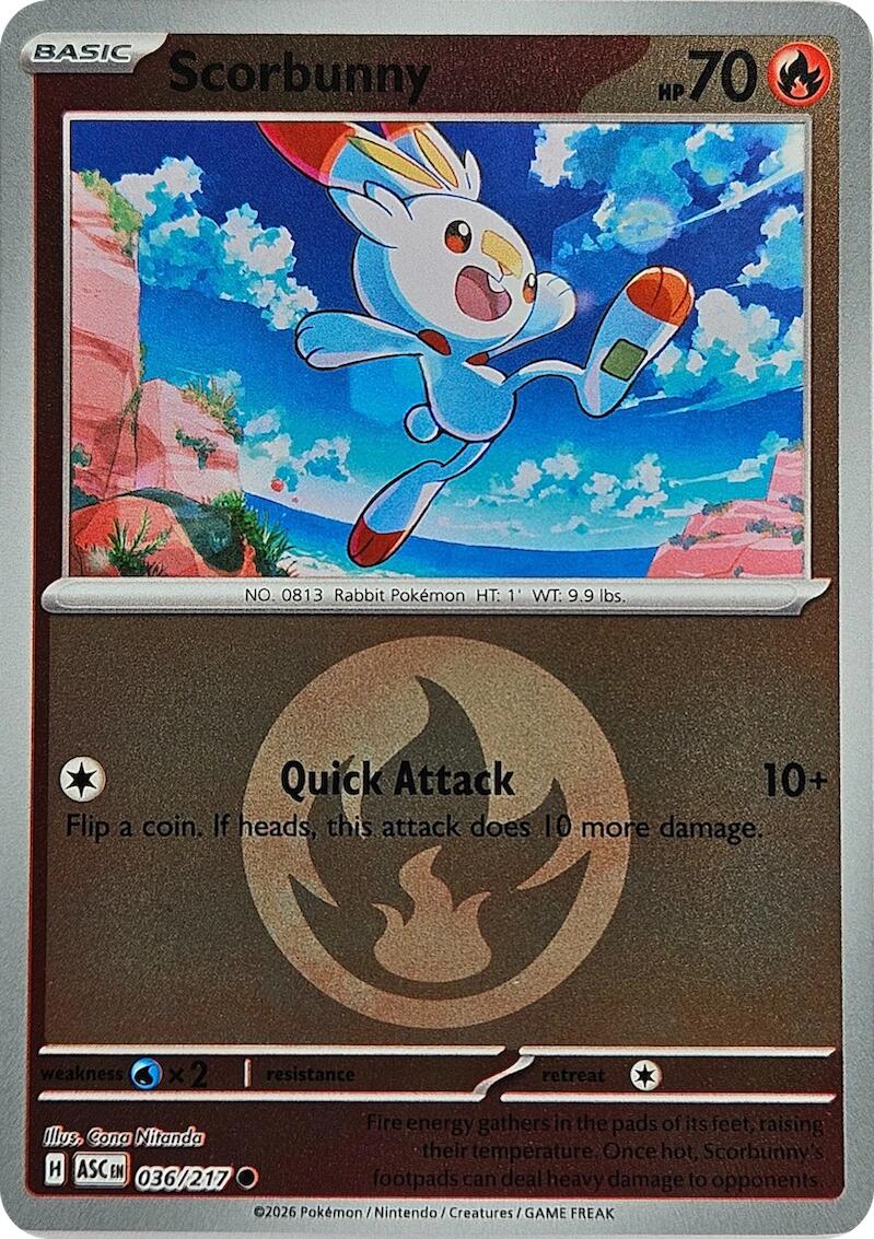 Scorbunny (036/217) (Energy Symbol Pattern) [Mega Evolution: Ascended Heroes] | Cracking-Singles