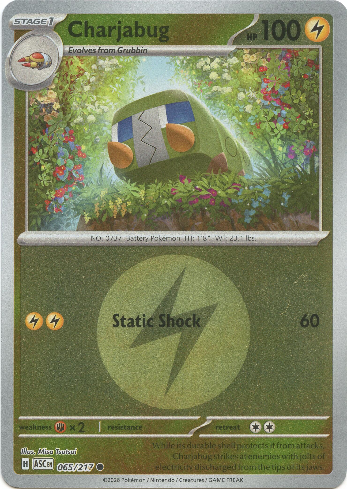 Charjabug (065/217) (Energy Symbol Pattern) [Mega Evolution: Ascended Heroes] | Cracking-Singles