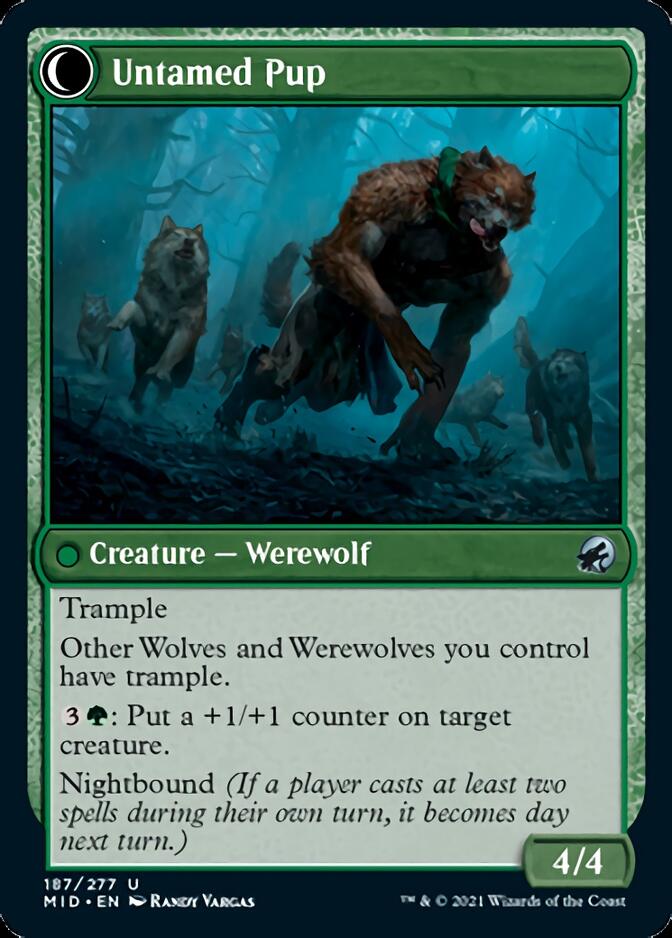 Hound Tamer // Untamed Pup [Innistrad: Midnight Hunt] | Cracking-Singles