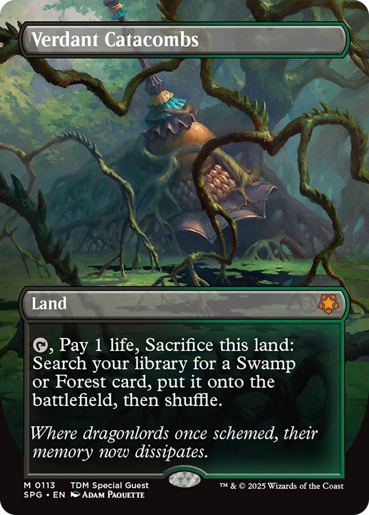 Verdant Catacombs (Borderless) [Tarkir: Dragonstorm Special Guests] | Cracking-Singles