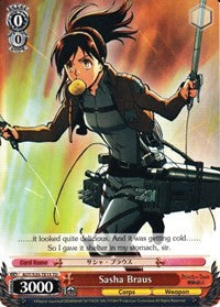 Sasha Braus (AOT/S35-TE15 TD) [Attack on Titan] | Cracking-Singles