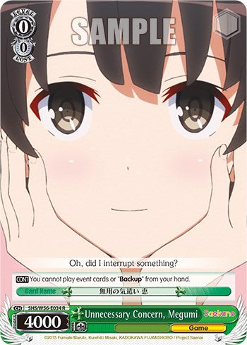 Unnecessary Concern, Megumi [Saekano: How to Raise a Boring Girlfriend] | Cracking-Singles