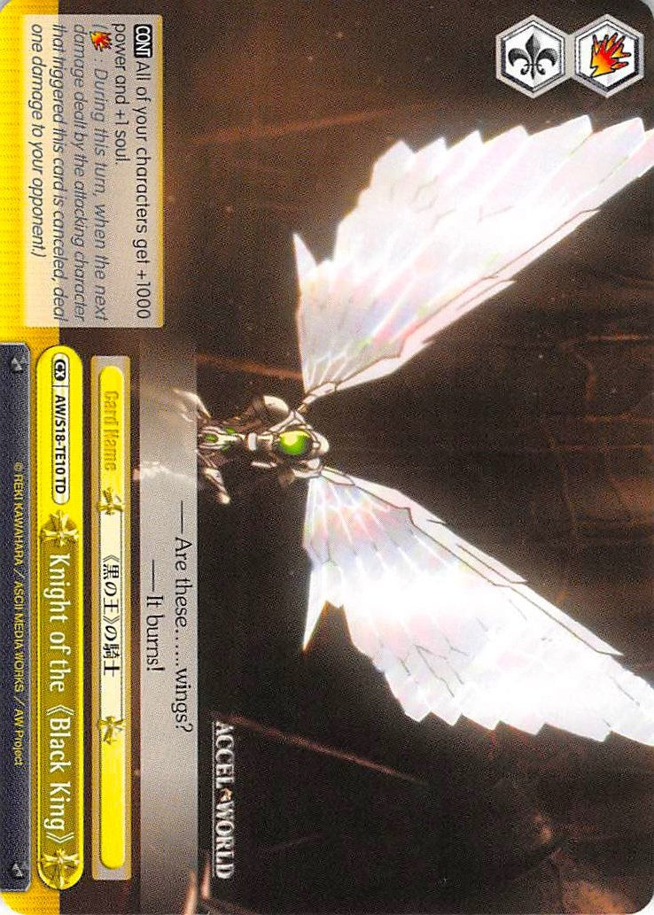 Knight of the "Black King" (AW/S18-TE10 TD) [Accel World] | Cracking-Singles