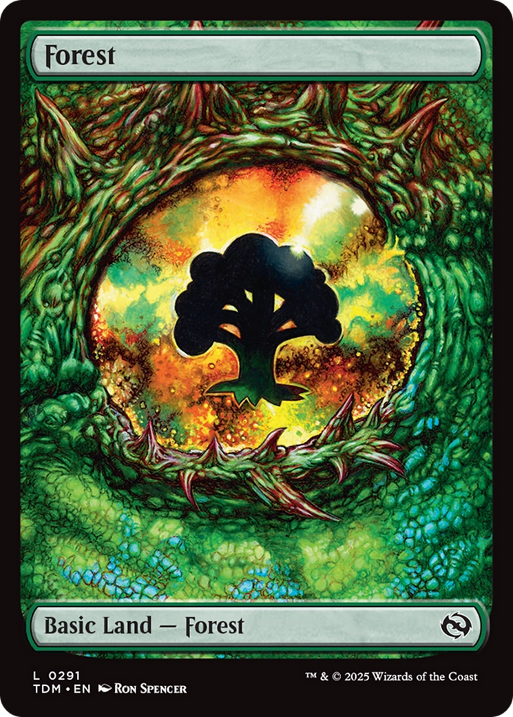 Forest (0291) [Tarkir: Dragonstorm] | Cracking-Singles