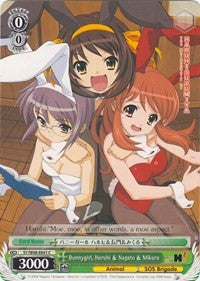Bunnygirl, Haruhi & Nagato & Mikuru (SY/W08-E041 C) [The Melancholy of Haruhi Suzumiya] | Cracking-Singles