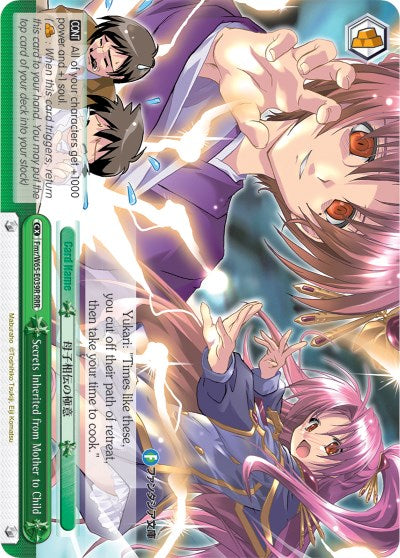 Secrets Inherited from Mother to Child (Fmr/W65-E039R RRR) [Fujimi Fantasia Bunko] | Cracking-Singles