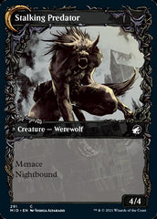 Shady Traveler // Stalking Predator (Showcase Equinox) [Innistrad: Midnight Hunt] | Cracking-Singles