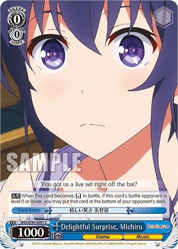 Delightful Surprise, Michiru [Saekano: How to Raise a Boring Girlfriend] | Cracking-Singles