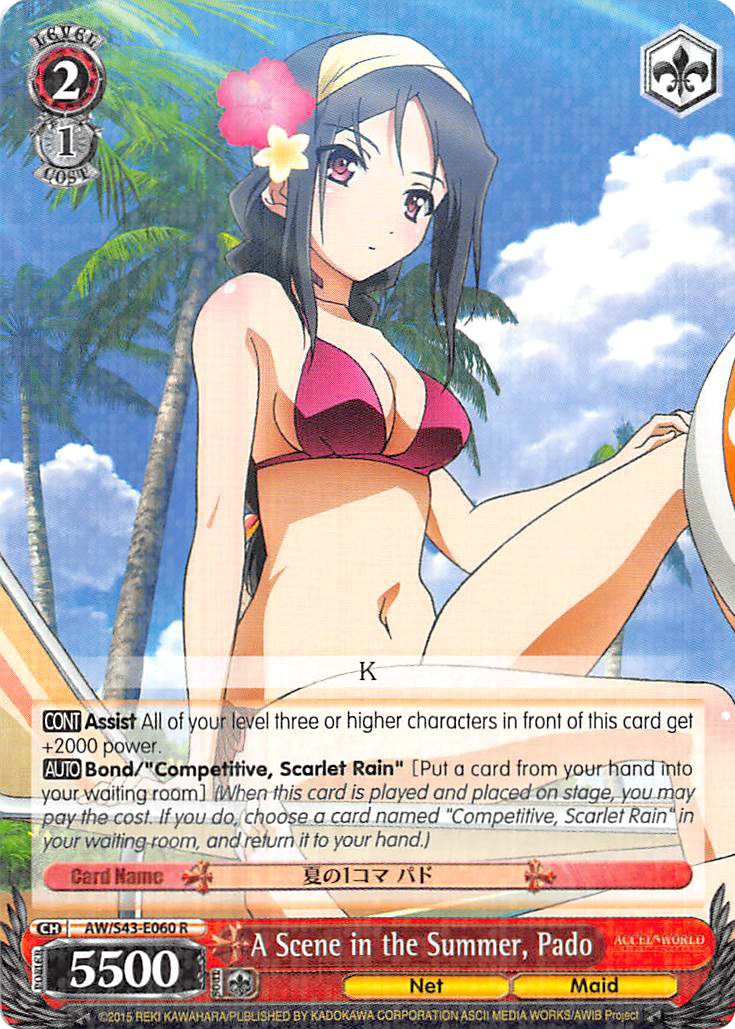 A Scene in the Summer, Pado (AW/S43-E060 R) [Accel World -Infinite Burst-] | Cracking-Singles