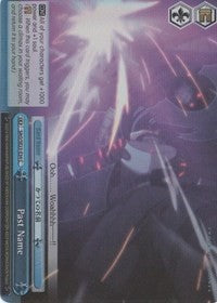 Past Name (SAO/SE23-E34 C) (Parallel Foil) [Sword Art Online II] | Cracking-Singles