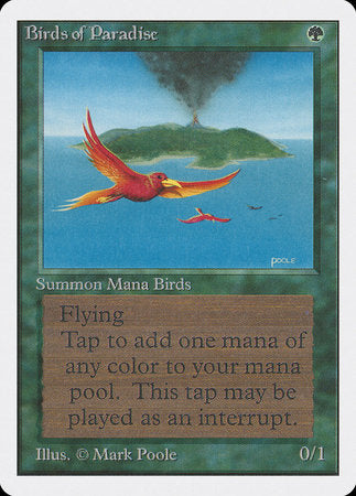 Birds of Paradise [Unlimited Edition] | Cracking-Singles