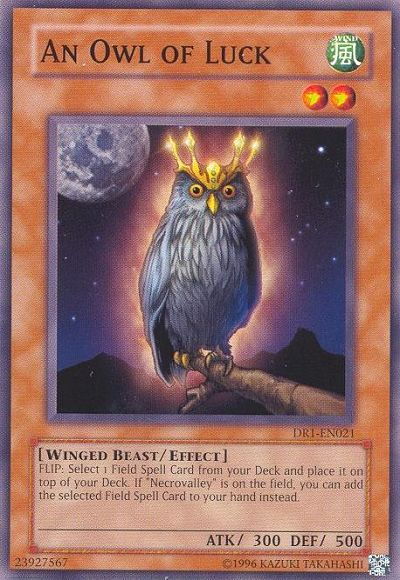 An Owl of Luck [DR1-EN021] Common | Cracking-Singles