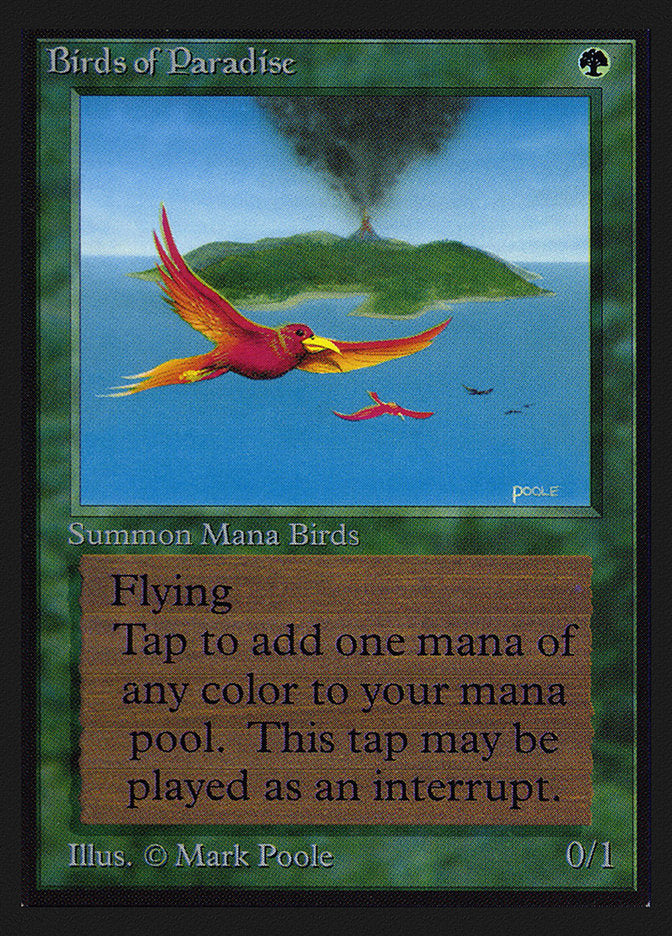 Birds of Paradise (CE) [Collectors’ Edition] | Cracking-Singles
