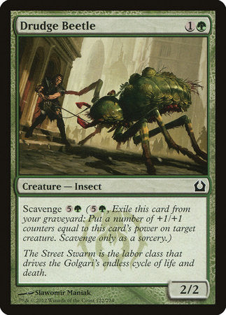 Drudge Beetle [Return to Ravnica] | Cracking-Singles
