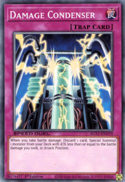 Damage Condenser [SGX1-END19] Common | Cracking-Singles